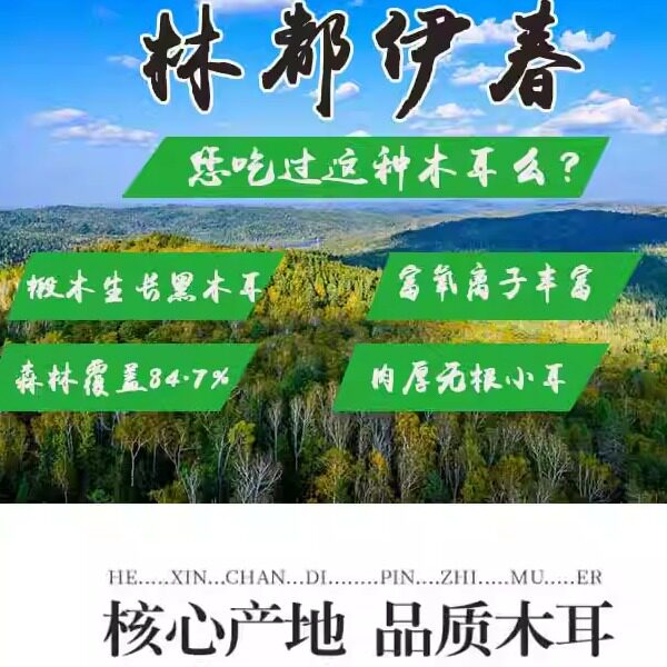 寒地东北特产直销体验店的LOGO