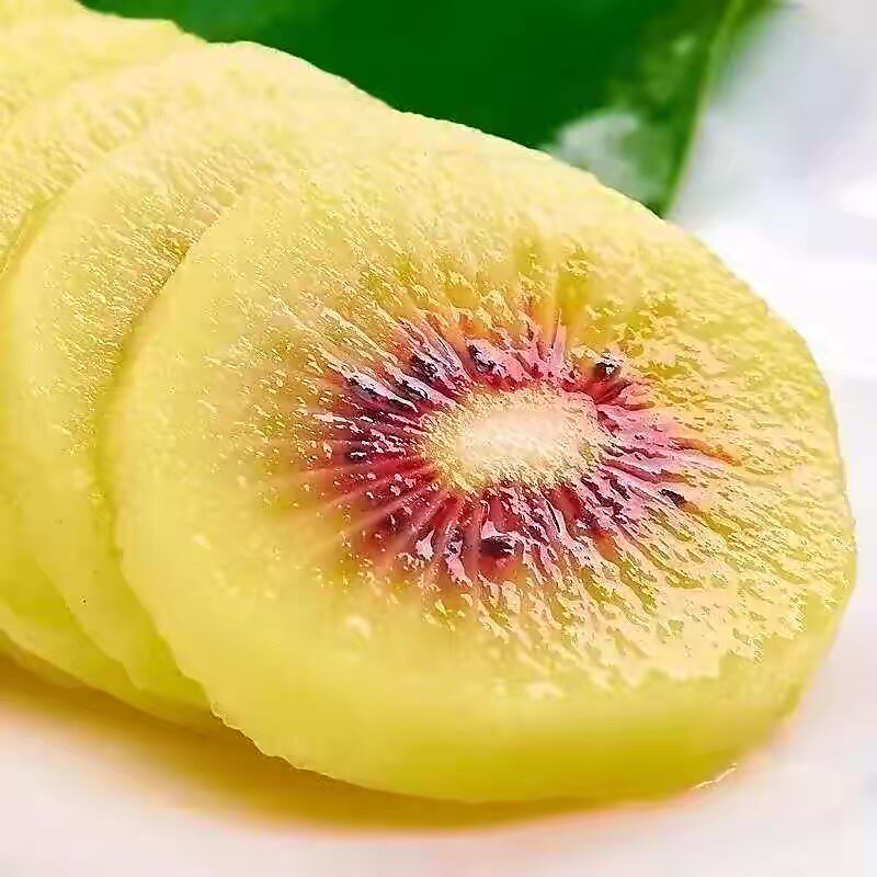 红心金果