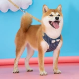 Собака с собакой собачья цепь ходьба для собак лучше