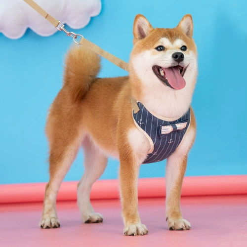 Собака с собакой собачья цепь ходьба для собак лучше