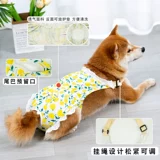 Другие магазины брюк возвращают более 10 000 видов цветных брюк, домашние животные, собаки, физиологические брюки, специальные менструальные брюки.