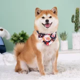 Шарф, нагрудник, декор, украшение для ногтей, треугольный слюнявчик, чокер