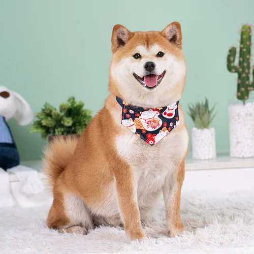 Шарф, нагрудник, декор, украшение для ногтей, треугольный слюнявчик, чокер