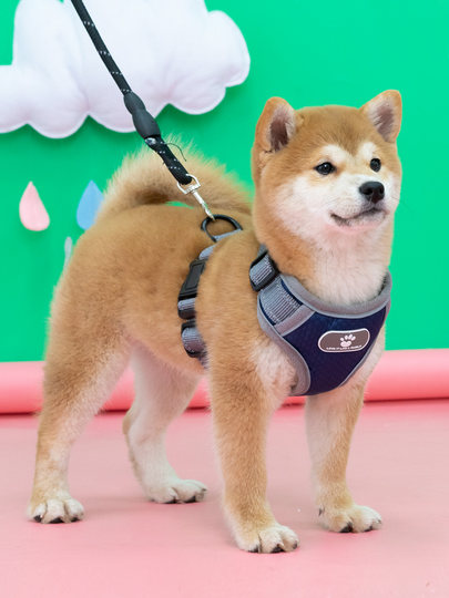 Dog harness, traction rope, vest-style harness, explosion-proof, medium-sized dog pet supplies, Shiba Inu collar, small dog