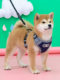 Dog harness, traction rope, vest-style harness, explosion-proof, medium-sized dog pet supplies, Shiba Inu collar, small dog