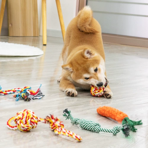 Собака игрушка собака кусочка веревка