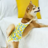 Другие магазины брюк возвращают более 10 000 видов цветных брюк, домашние животные, собаки, физиологические брюки, специальные менструальные брюки.