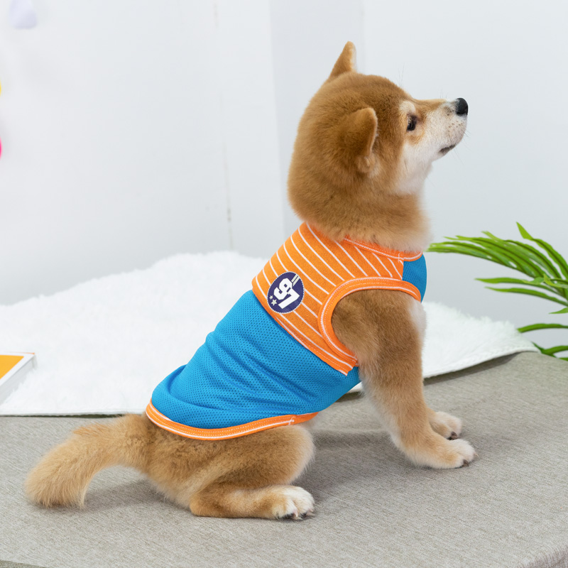 Summer slim Breathable Dogs Clothing chai Dog Cokie Fou Teddy Bear Snow Narey CUHK Small Dog Pets