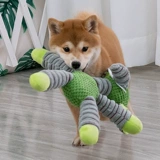 Собачьи игрушки, громкие зубы, щенки из Корки, кусать маленькие большие тренировки собак, би -психологические запасы Шиба Ину