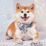 Шарф, нагрудник, декор, украшение для ногтей, треугольный слюнявчик, чокер