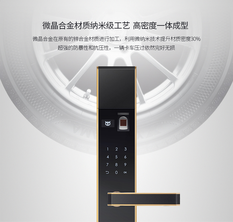 物联网指纹锁X200