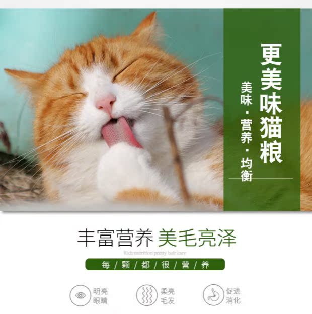 500g * 20 包 雷米 高 澳 丽 得 猫粮 成 猫猫 20 斤 英 短短 偶 深海 kg 10kg - Cat Staples Hạt Whiskas cho mèo con