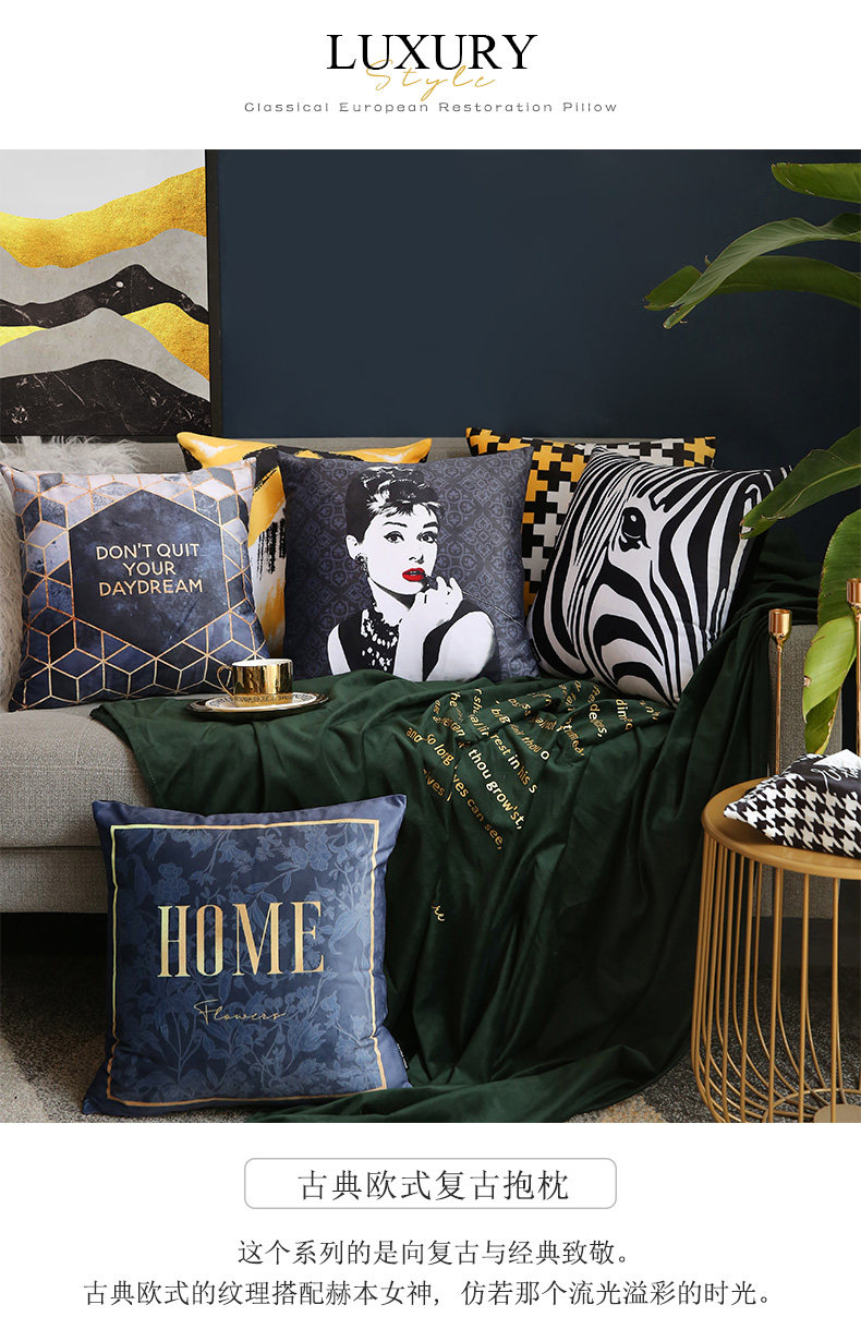 奢侈风抱枕_01.jpg