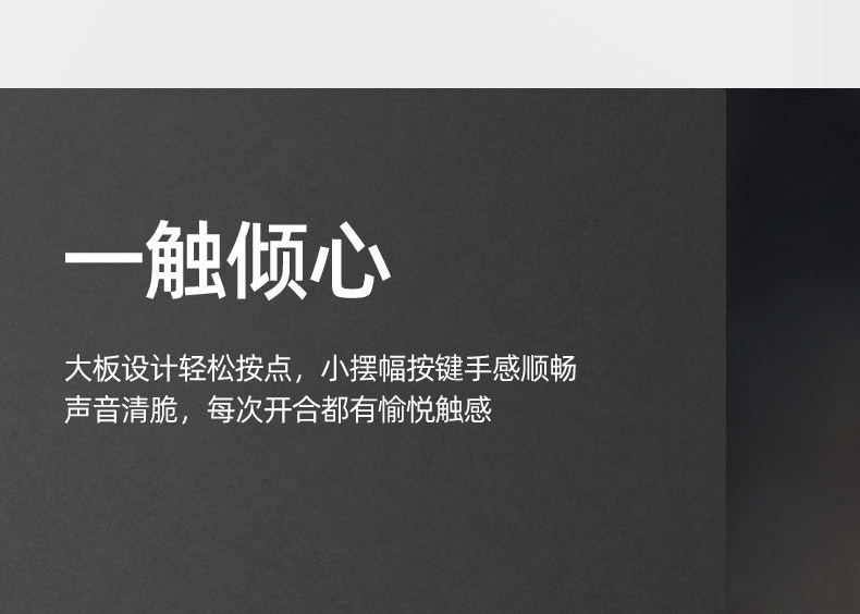 Подробная информация-CHAMPAGNE GOLD_06.JPG