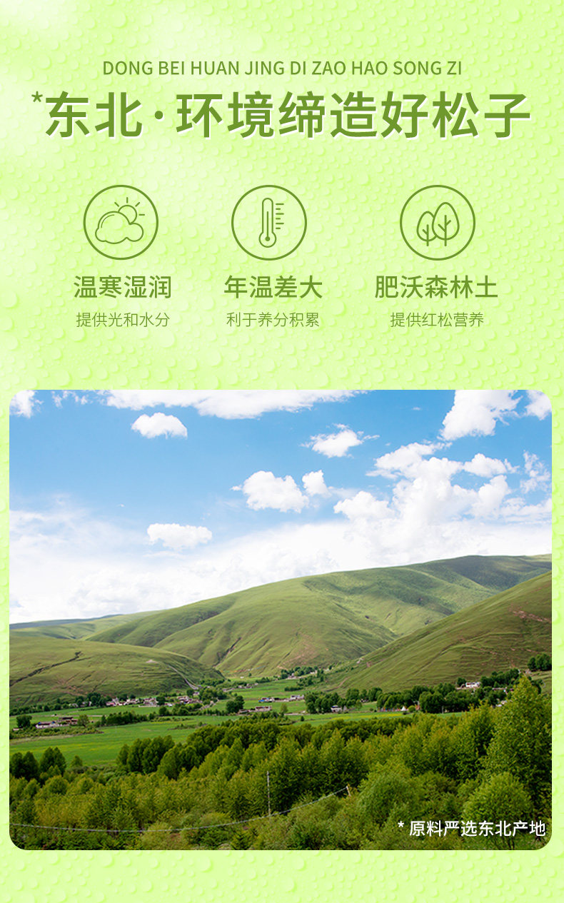 百草味 东北手剥开口松子 500g/罐 图2