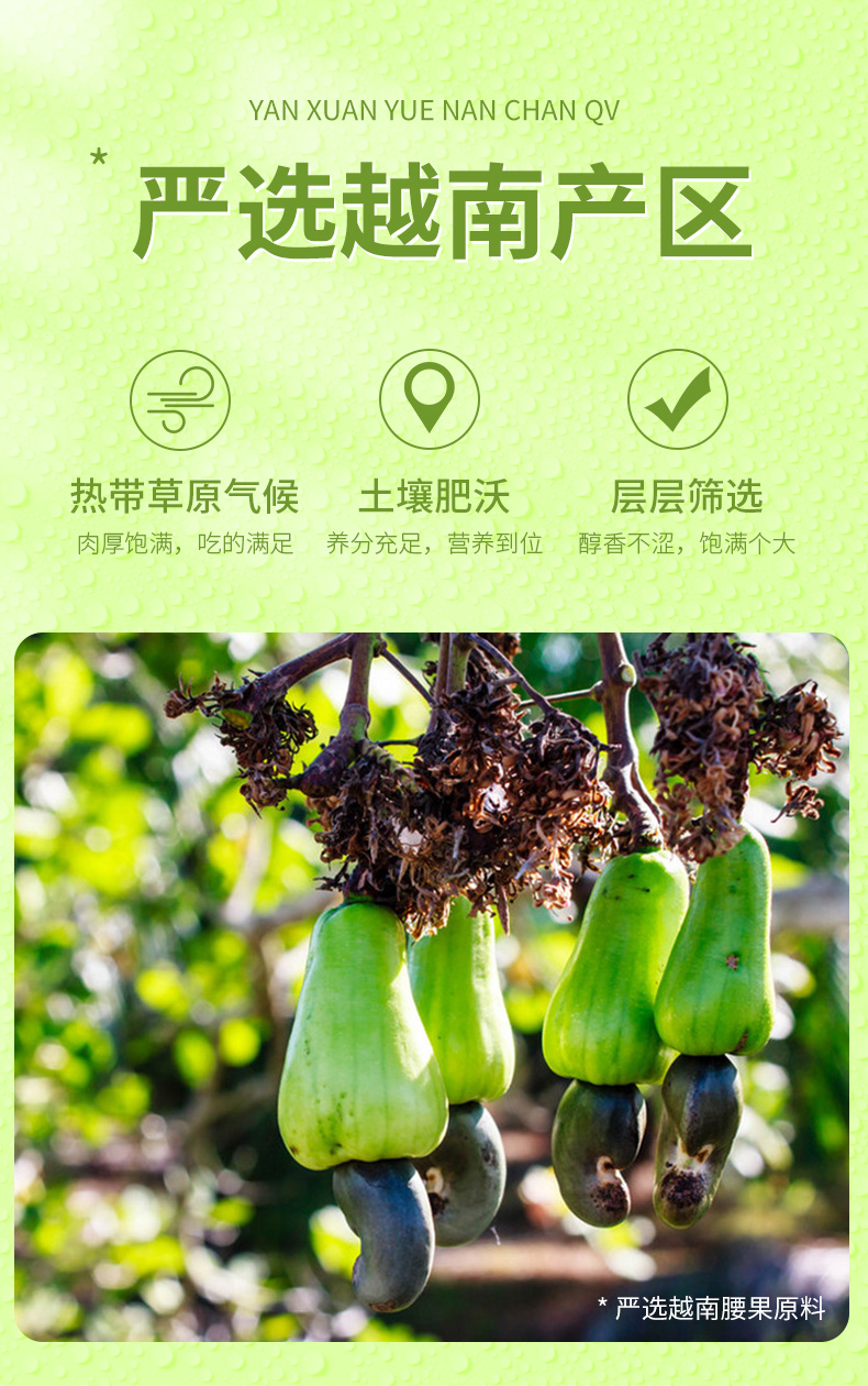 百草味 紫皮腰果 500g/罐 图3