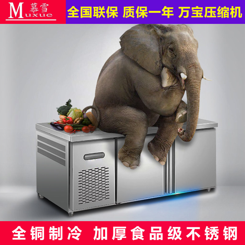 MousSnow Commercial Fridge Straight Refrigerated Freezer Crisper Fresh Cabinet Refreshing Table Ice Cabinet Flat Cold Frozen Operation Table Fridge Freezer