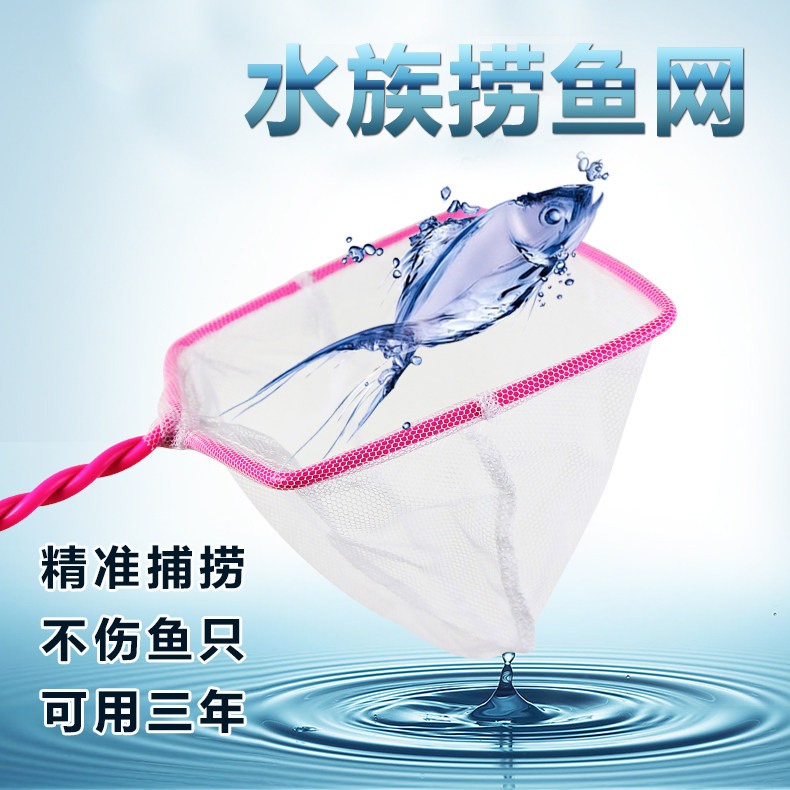 h2uXjfulzdRUjNJxf9q9kFx7VKZJlkKOqNJ+