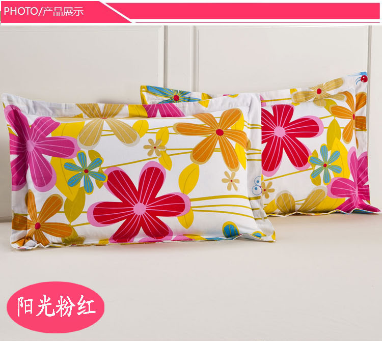 Gối bông đơn mảnh Vỏ gối bông lõi đơn bộ 48 * 74 ký túc xá giường đơn đôi gối tựa lưng sofa gỗ