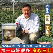 Yunnan Wenshan 37 Pink Official Special Level Zhengzong Flagship Store 500g Fields Seven Heads Flowers Ultra Fine Powder 37 pieces