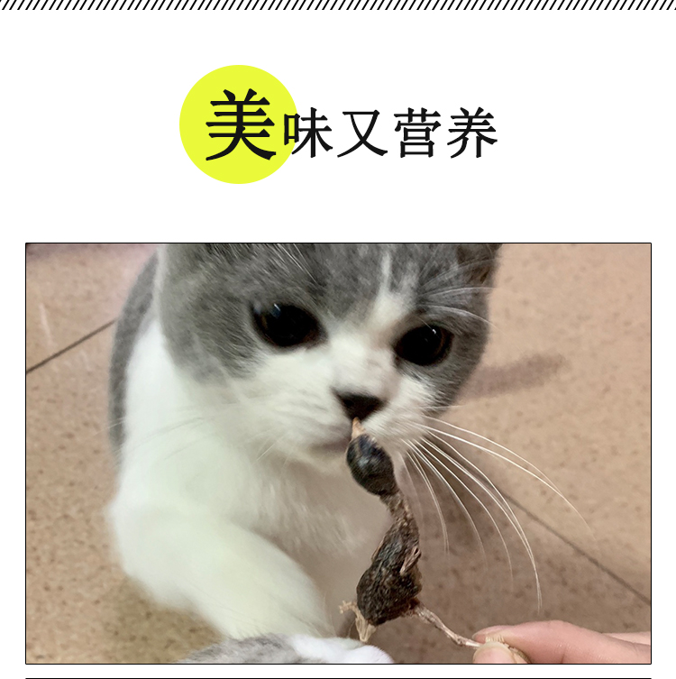 Thịt đông khô thịt mèo đông khô khô small đông khô nhỏ 鹌鹑 mèo ăn nhẹ đồ ăn nhẹ nhỏ mèo đông lạnh dinh dưỡng - Đồ ăn nhẹ cho mèo đồ ăn vặt cho mèo	