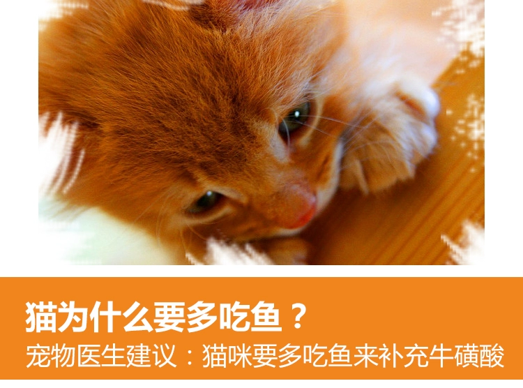 [Đặc sản hàng ngày] Đồ ăn nhẹ cho mèo Cá nhỏ cá khô dải thịt mèo tự nhiên không muối ăn 250g - Đồ ăn nhẹ cho mèo