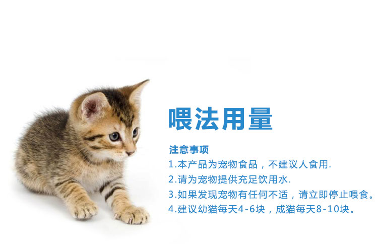 Mèo Đồ Ăn Nhẹ Catnip Lông Bằng Trái Cây Salmon Fish Cookies Mèo Đồ Ăn Nhẹ Hương Vị Gà Mèo Cookies 100 gam thức ăn mèo royal canin