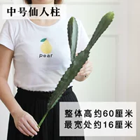 Середина -Number Fairy Colm