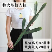 Экстраал -сказочный столб