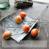 5 фруктовых апельсиновых филиалов