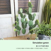 Вайолет устанавливает три много -сечения.