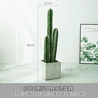 Молочный белый цементный бассейн маленькие белые шипы