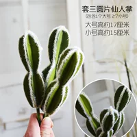 Глубокий хаки ткань, набор трех 4 -кратных сказочных ладоней