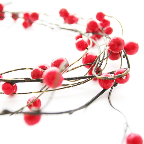 Симуляция ручной ручной красный фруктовый шашлык с дверной занавеской