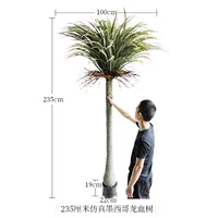 235 см имитирует дерево крови мексиканского дракона (зашифровано)