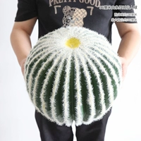 36 см белая полоса таблетка