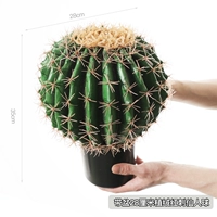 Принесите бассейн в 28 см имплинтического бархатного красный колючий сказочный мяч