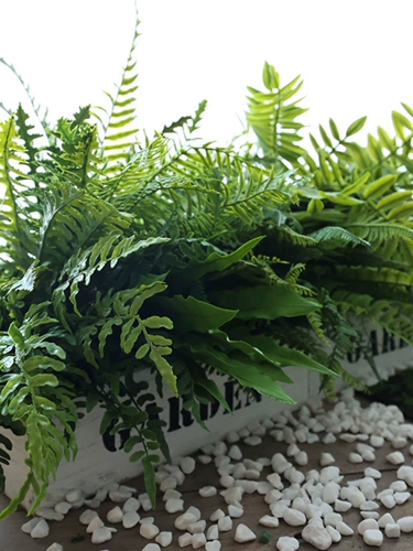 Моделирование папоротника растения мягкие пластиковые псевдо -царапические листья зеленые растения