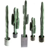 Вставка нордического симуляции сказочного зеленого растения