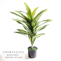 75 см цвета бразильское дерево