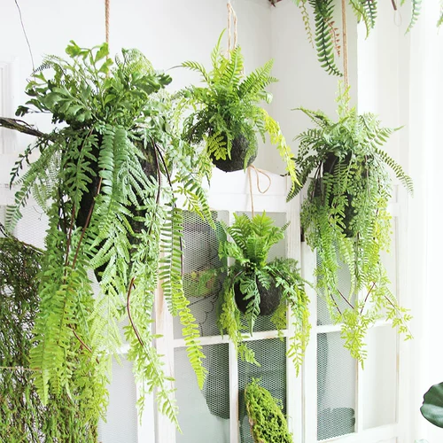 Ручная феррита Ферма Внутреннее небо небо висячие шарики висят травяной мяч Симуляция зеленого растения творческое домашнее потолочное отделение