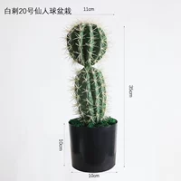 Белый шип № 20 Кактус в горшке