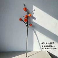 6 Фруктовых Больших Бранч -Хриф