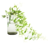 Северная симуляция зеленый лист виноградный бар эугели деньги скалол горный тигр свадебный цветочный художественный художественный