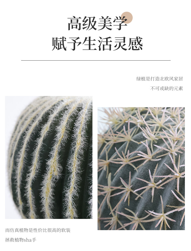 бонсай 大型仿真植物仙人球盆栽热带沙漠绿植景观造景民宿室内外装饰摆件 Xinren furnishings