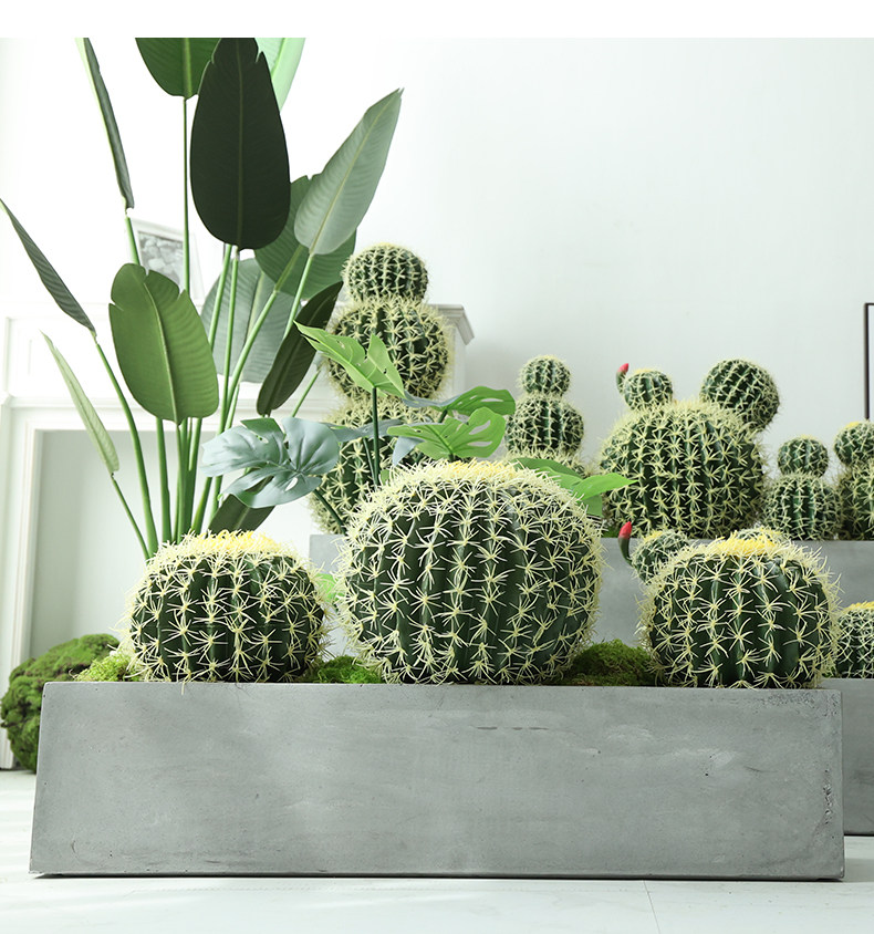 бонсай 彷真仙人球装饰摆件大号室内仙人掌热带沙漠绿植造景店铺橱窗陈列