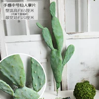 Светло -голуба