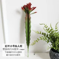 Лимонный желтый красный лист маленький сказочный столб