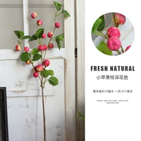 Цвет маленькой яблоневой ветки