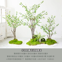 Спорный мох и зеленые растения висящих часов